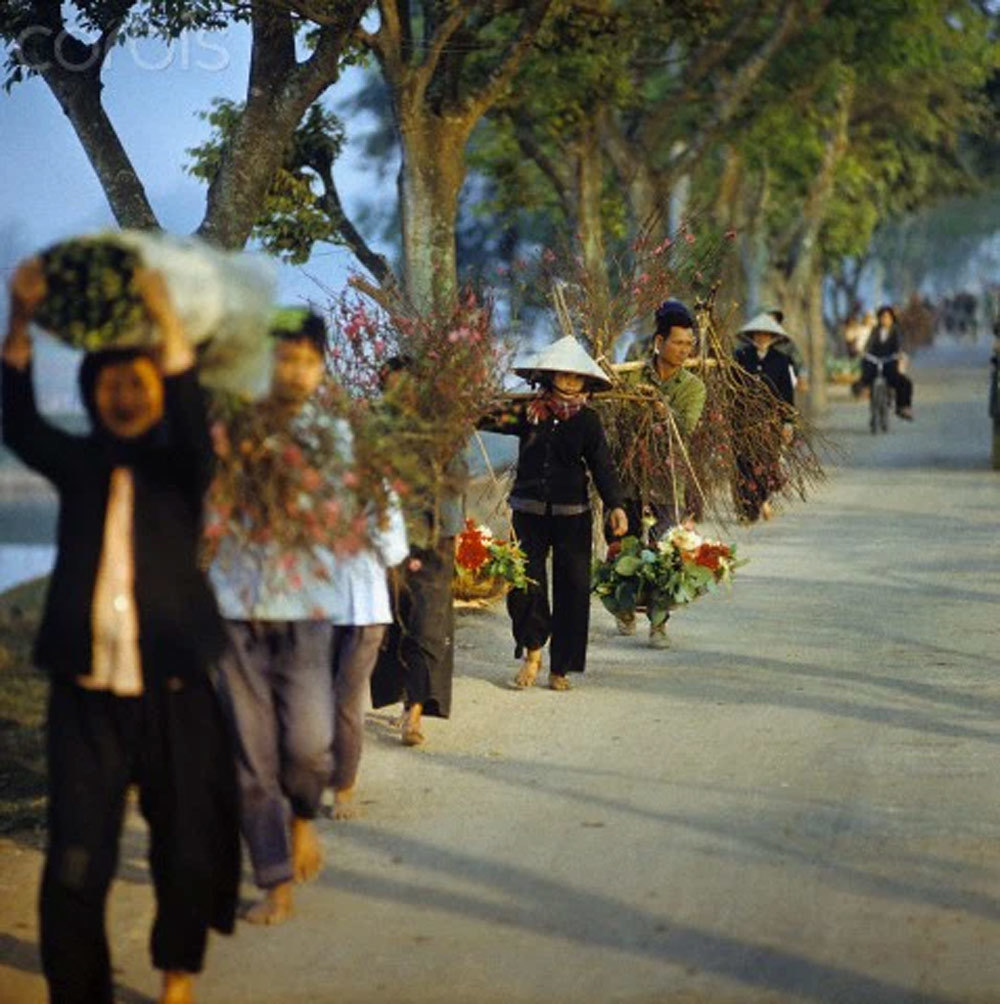 tet hoa binh dau tien hinh 1